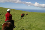ハワイ島の牧場乗馬ツアー