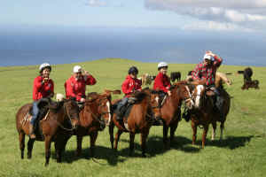 ハワイ島牧場乗馬ツアー