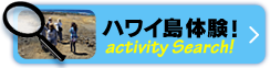 ハワイ島体験！　Activity Search!